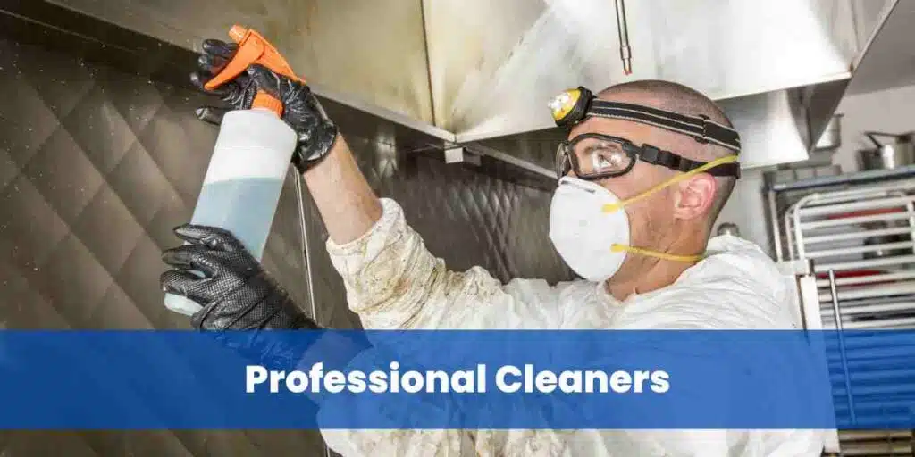 Professional Cleaners