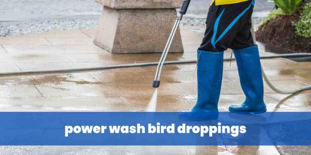 power wash bird droppings