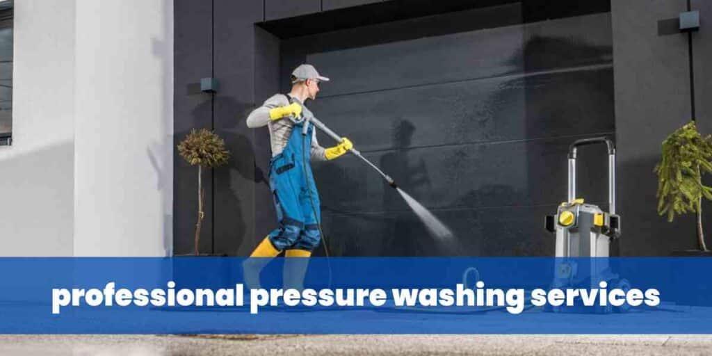 professional pressure washing services
